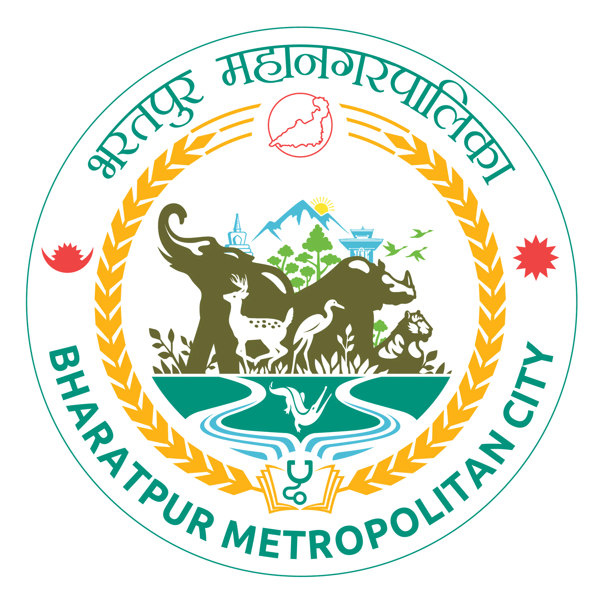 Local Government Logo